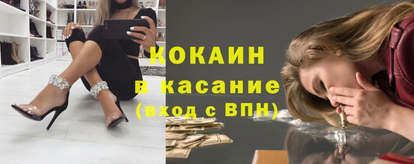 прущие грибы Волоколамск