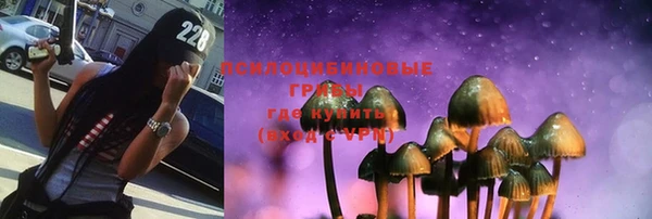прущие грибы Волоколамск