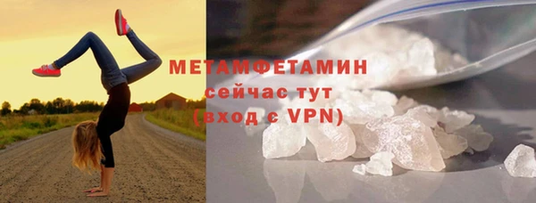 прущие грибы Волоколамск