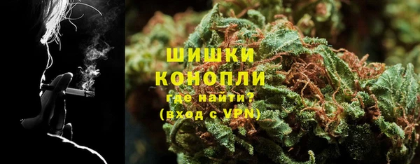 прущие грибы Волоколамск